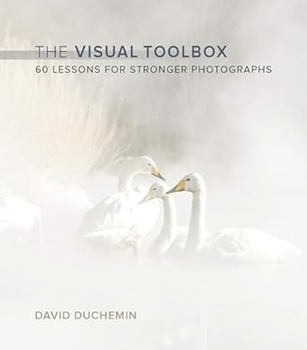 the visual toolbox 60 lessons for stronger photographs 1st edition david duchemin duchemin 013408506x,