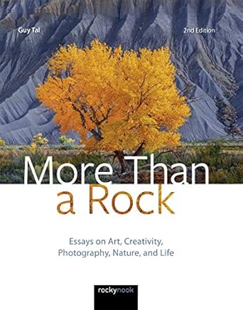 more than a rock essays on art creativity photography nature and life 1st edition guy tal 1681986833,