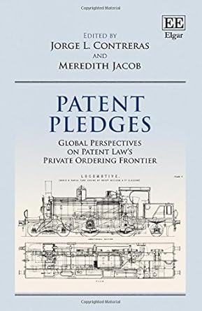 patent pledges global perspectives on patent laws private ordering frontier 1st edition jorge l contreras