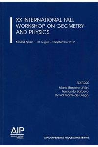xx international fall workshop on geometry and physics 2012th edition maria barbero linan ,david martin de