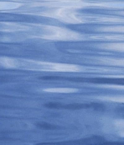 transition turbulence and combustion volume i transition 1994th edition m y hussaini ,thomas b gatski ,thomas