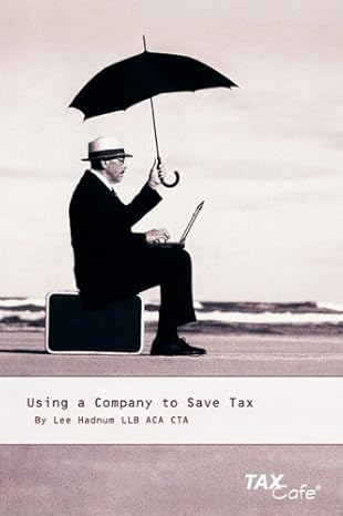 using a company to save tax 1st edition lee hadnum 1904608744, 978-1904608745