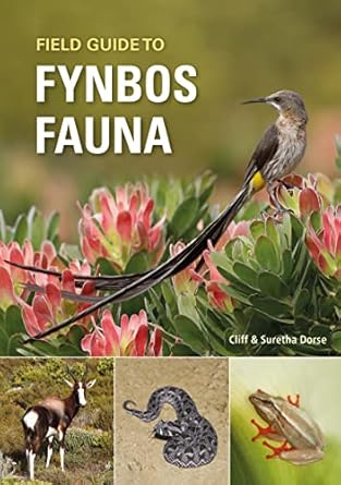 field guide to fynbos fauna 1st edition cliff dorse ,suretha dorse 177584739x, 978-1775847397