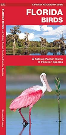 florida birds a folding pocket guide to familiar species 1st edition james kavanagh waterford press