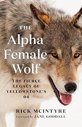 the alpha female wolf the fierce legacy of yellowstones 06 1st edition rick mcintyre ,jane goodall