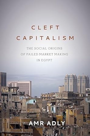 cleft capitalism the social origins of failed market making in egypt 1st edition amr adly 1503612201,