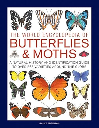 the world encyclopedia of butterflies and moths a natural history and identification guide to over 565