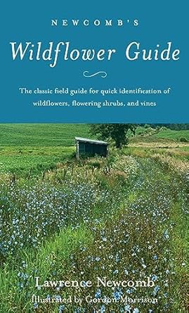 newcombs wildflower guide 1st edition lawrence newcomb ,gordon morrison 0316604429, 978-0316604420