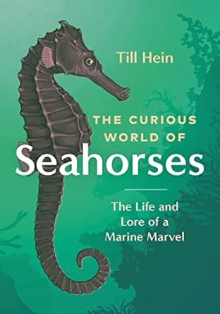 the curious world of seahorses the life and lore of a marine marvel 1st edition till hein ,renee von paschen