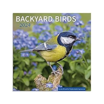 backyard birds 2024 wall calendar 1st edition dayspring b0c3wrzchn, 979-8886020588