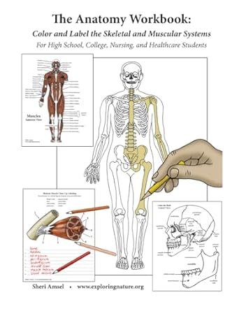 the anatomy workbook color and label the skeletal and muscular systems for high school college nursing and