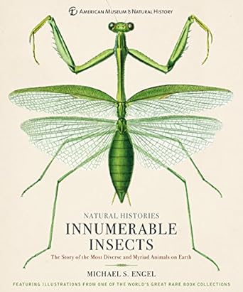 innumerable insects the story of the most diverse and myriad animals on earth 1st edition michael s engel
