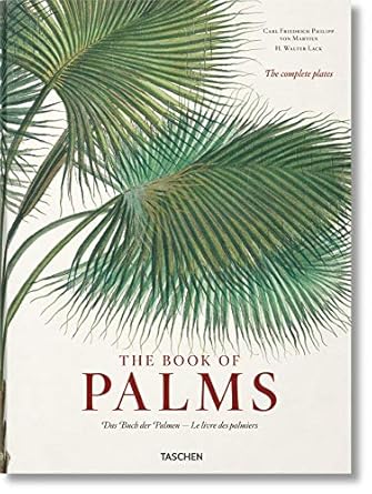 the book of palms / das buch der palmen / le livre des palmiers 1st edition h walter lack 3836566141,