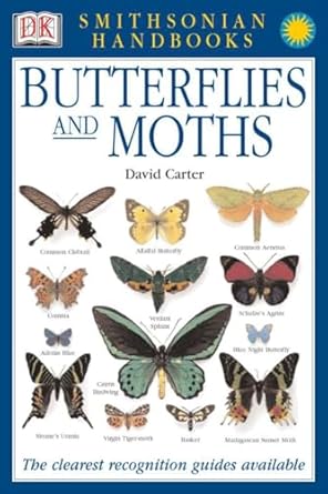 butterflies and moths the clearest recognition guide available 2nd edition david j carter 078948983x,