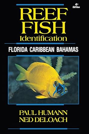 reef fish identification florida caribbean bahamas 1st edition paul humann ,ned deloach 1878348574,