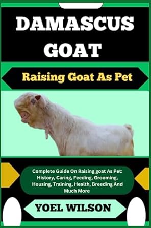 damascus goat raising goat as pet complete guide on raising goat as pet history caring feeding grooming