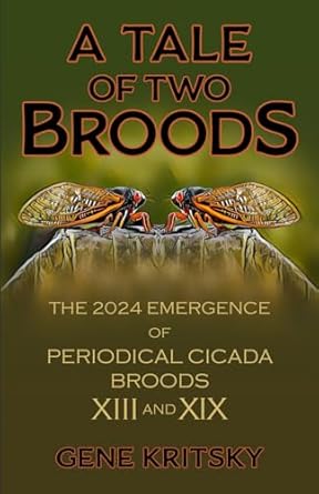 a tale of two broods the 2024 emergence of periodical cicada broods xiii and xix 1st edition gene kritsky