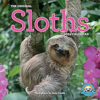 original sloths wall calendar 2024 the ultimate experts at slowing down 1st edition workman calendars ,lucy