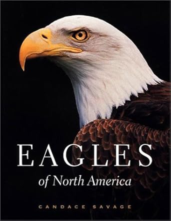 eagles of north america 1st edition candace savage 1550547836, 978-1550547832