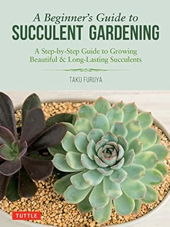 a beginners guide to succulent gardening a step by step guide to growing beautiful and long lasting