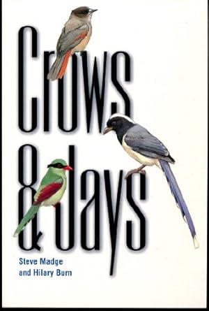 crows and jays 1st edition steve madge ,hilary burn 0691088837, 978-0691088839