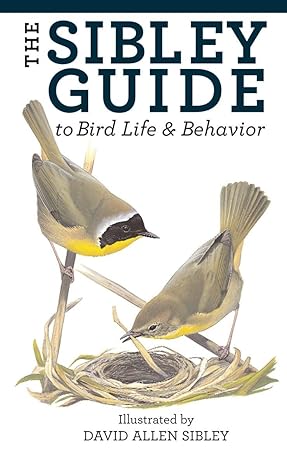 the sibley guide to bird life and behavior 1st edition david allen sibley 1400043867, 978-1400043866