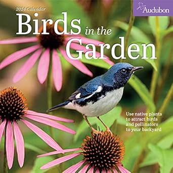 audubon birds in the garden wall calendar 2024 use native plants to attract birds and pollinators to your