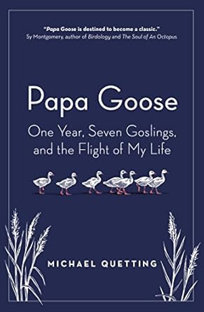 papa goose one year seven goslings and the flight of my life 1st edition michael quetting 1760640751,