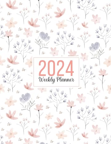 2024 planner weekly and monthly 1st edition dilu books b0cp3fmqcr