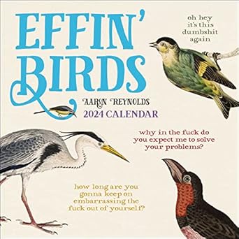 effin birds 2024 wall calendar 1st edition aaron reynolds 1524880167, 978-1524880163