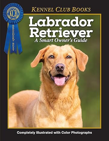labrador retriever breed characteristics history expert advice and tips on adopting training solving bad