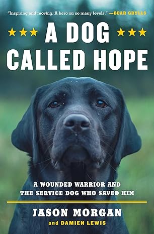 a dog called hope a wounded warrior and the service dog who saved him 1st edition jason morgan ,damien lewis