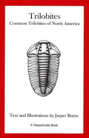 trilobites common trilobites of north america 1st edition jasper burns 0966915704, 978-0966915709