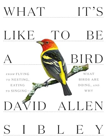 what its like to be a bird from flying to nesting eating to singing what birds are doing and why 1st edition