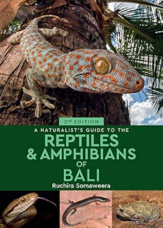 a naturalists guide to the reptiles and amphibians of bali 1st edition ruchira somaweera 1912081253,