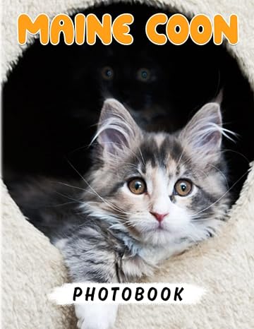 maine coon kittens photo book the larges domesticated cats picture book for decor 40+ pages high quality
