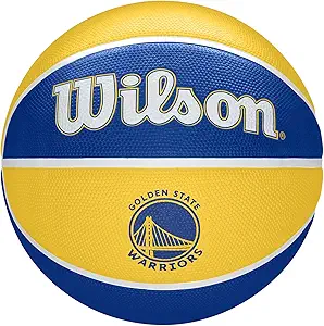 wilson nba alliance series basketballs team logo basketballs 29 5 and mini sizes  ?wilson b091ml3n56