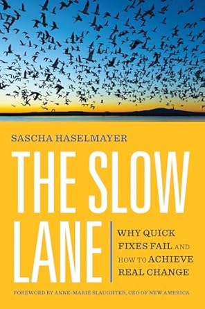 the slow lane why quick fixes fail and how to achieve real change 1st edition sascha haselmayer ,anne marie