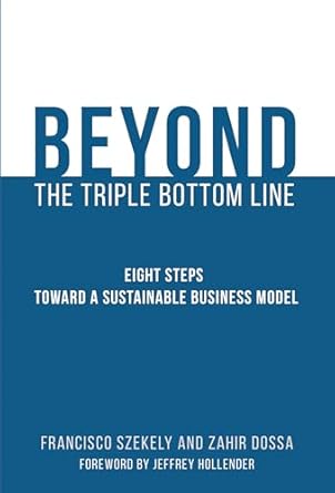 beyond the triple bottom line eight steps toward a sustainable business model 1st edition francisco szekely