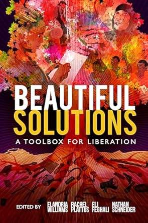 beautiful solutions a toolbox for liberation 1st edition eli feghali ,rachel plattus ,nathan schneider