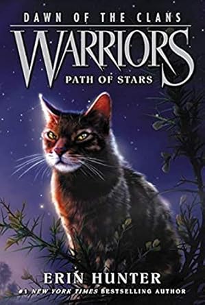 warriors dawn of the clans #6 path of stars 1st edition erin hunter ,wayne mcloughlin ,allen douglas