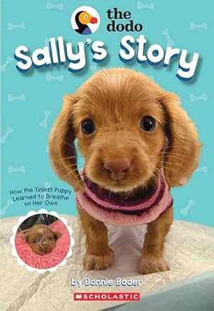 sallys story 1st edition bonnie bader 1546114637, 978-1546114635
