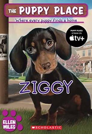 ziggy 1st edition ellen miles 0545253950, 978-0545253956