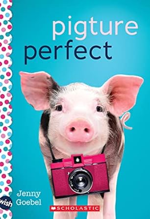 pigture perfect a wish novel 1st edition jenny goebel 1338716409, 978-1338716405