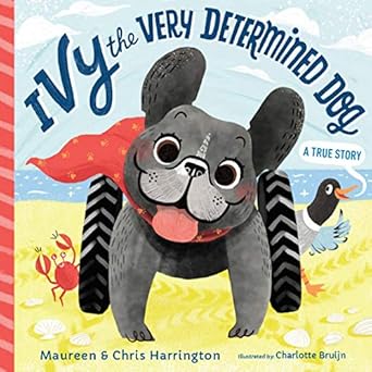 ivy the very determined dog 1st edition chris maureen harrington 1732777101, 978-1732777101