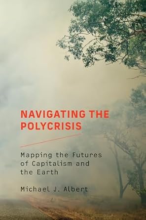 navigating the polycrisis mapping the futures of capitalism and the earth 1st edition michael j albert