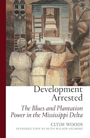 development arrested the blues and plantation power in the mississippi delta 1st edition clyde woods ,ruth