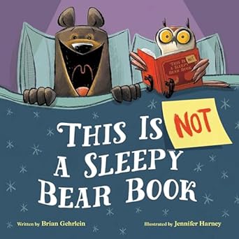 this is not a sleepy bear book 1st edition brian gehrlein ,jennifer harney 0316567590, 978-0316567596