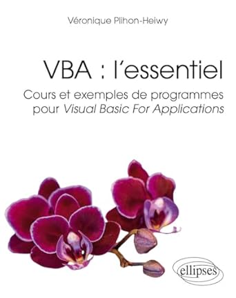 vba lessentiel cours et exemples de programmes pour visual basic for applications 1st edition veronique