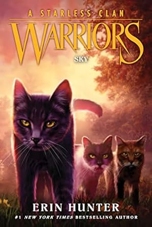warriors a starless clan #2 sky 1st edition erin hunter 006305017x, 978-0063050174